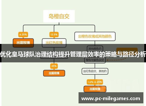 优化皇马球队治理结构提升管理层效率的策略与路径分析
