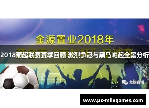 2018葡超联赛赛季回顾 激烈争冠与黑马崛起全景分析