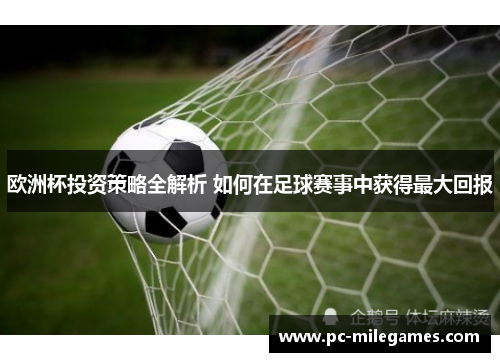 欧洲杯投资策略全解析 如何在足球赛事中获得最大回报