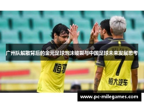 广州队解散背后的金元足球泡沫破裂与中国足球未来发展思考