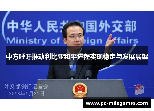 中方呼吁推动利比亚和平进程实现稳定与发展展望