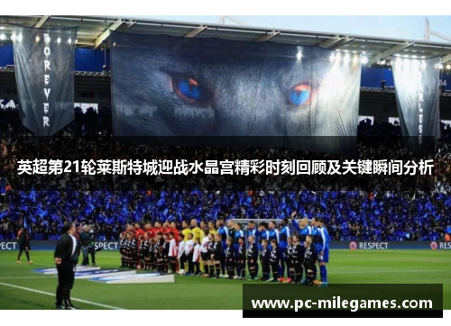 英超第21轮莱斯特城迎战水晶宫精彩时刻回顾及关键瞬间分析
