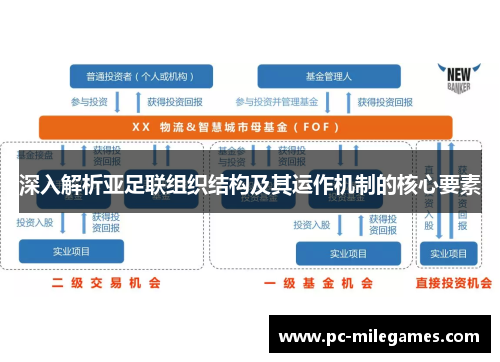 深入解析亚足联组织结构及其运作机制的核心要素
