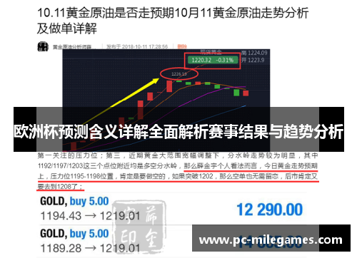 欧洲杯预测含义详解全面解析赛事结果与趋势分析