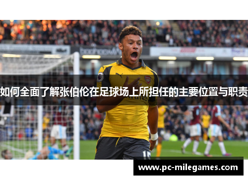 如何全面了解张伯伦在足球场上所担任的主要位置与职责